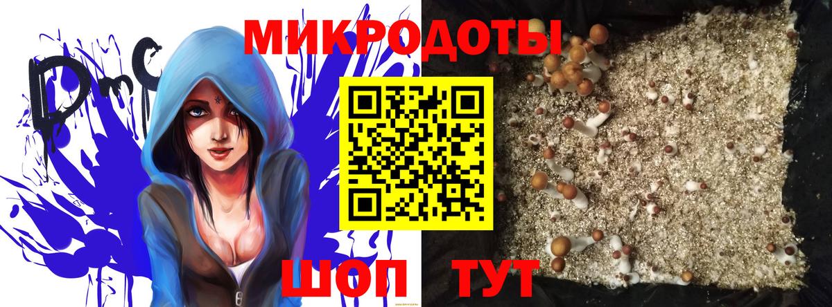 Псилоцибиновые грибы Magic Shrooms Севастополь