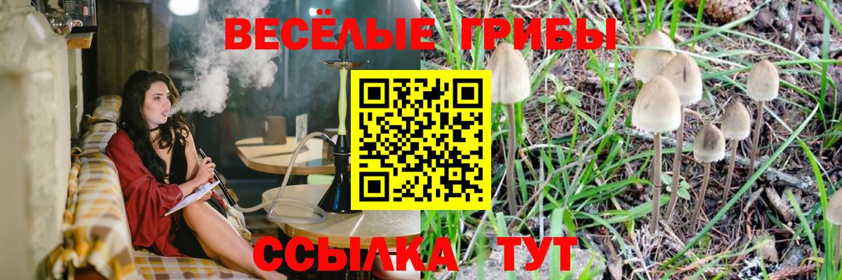 Псилоцибиновые грибы Magic Shrooms  Вход с VPN  Севастополь 